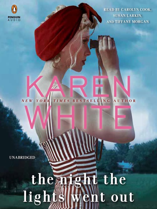 Title details for The Night the Lights Went Out by Karen White - Available